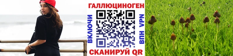 Псилоцибиновые грибы мицелий  Красновишерск 